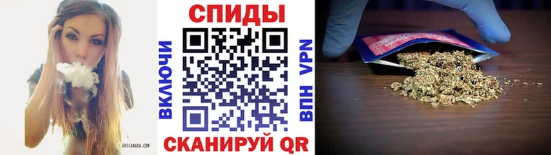БУТИРАТ 99%  Купить  Павловск 