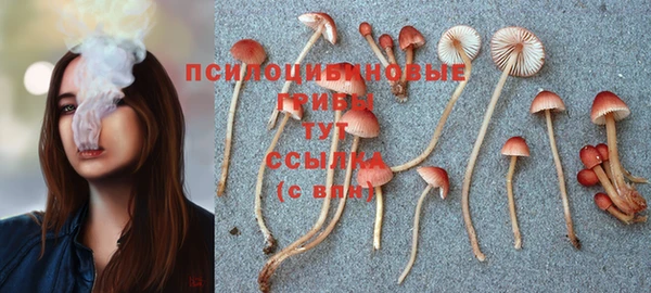 мет Новый Уренгой