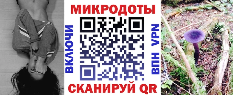 Псилоцибиновые грибы Psilocybe Купить где Павловск